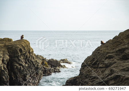 A waterside bird 69271947