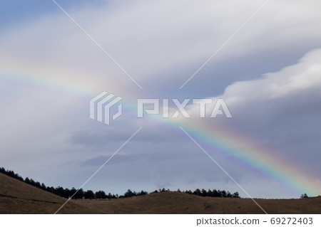 Bizarre rainbow 69272403
