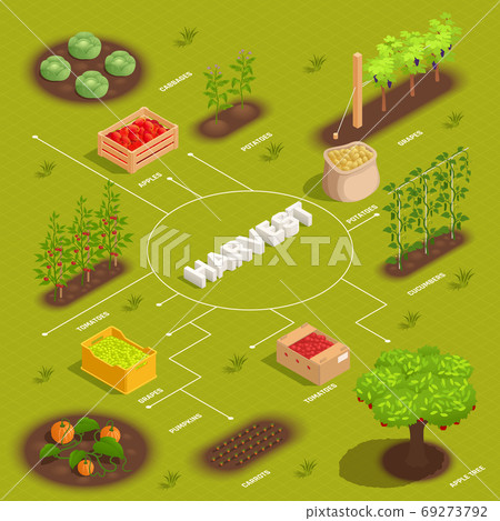 Farming Harvesting Flowchart 69273792