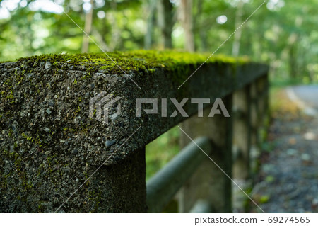 苔蘚小橋 苔蘚小橋 69274565