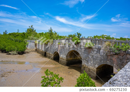 Shimajiri Mangrove Forest Shimajiri Mangrove Forest 69275230