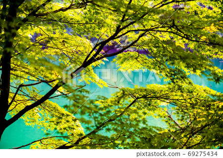 Lake found in the mountains 69275434