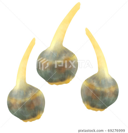 Kuwai Kuwai 69276999