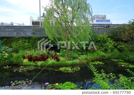 西武池袋屋頂花園“食物和綠色空中花園”睡蓮花園 69277790