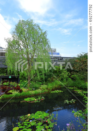西武池袋屋頂花園“食物和綠色空中花園”睡蓮花園 西武池袋屋頂花園“食物和綠色空中花園”睡蓮花園 69277792