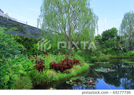 西武池袋屋頂花園“食物和綠色空中花園”睡蓮花園 西武池袋屋頂花園“食物和綠色空中花園”睡蓮花園 69277796