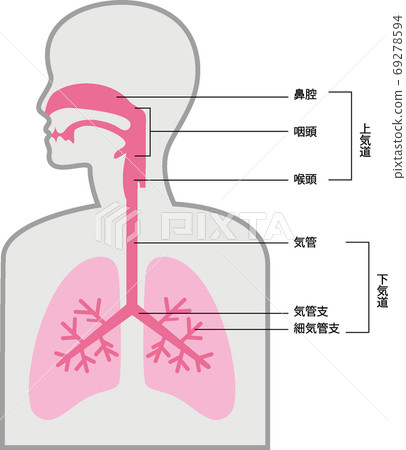 呼吸名稱 69278594