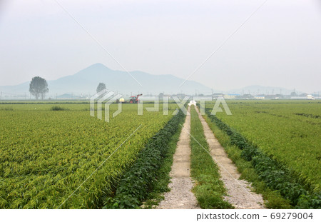 Korean rural morning scenery Korean rural morning scenery 69279004