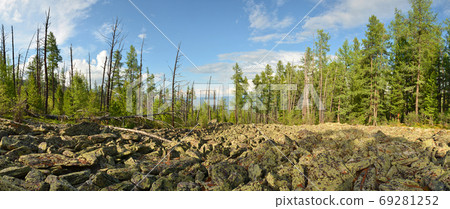The taiga and alpine tundra - stone deposits, fragments of rock, boulders 69281252