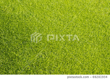 Lawn texture background material background Lawn texture background material background 69281934