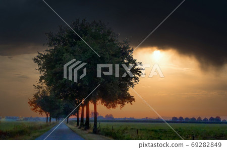 A path with on the grass and trees A path with on the grass and trees 69282849