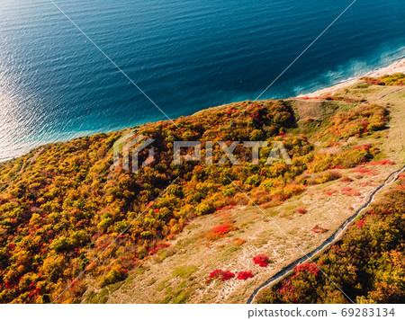Aerial view of rocky coastline with forest and blue sea. 69283134