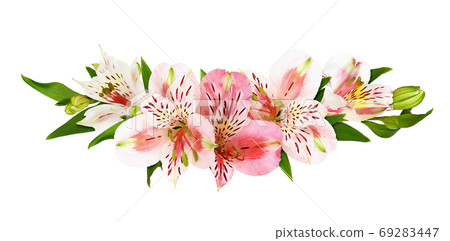 White and coral alstroemeria flowers in a floral arrangement 69283447