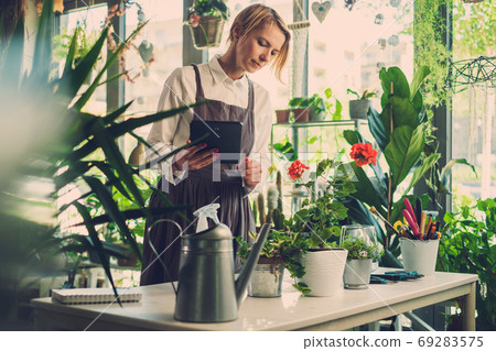 Experienced Florist Examines Characteristic of New Flower. Experienced Florist Examines Characteristic of New Flower. 69283575
