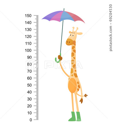 Funny giraffe. Cheerful funny giraffe with long neck. Giraffe meter wall or height chart or wall sticker. Illustration with scale from 2 to 150 centimeter to measure growth 69284530