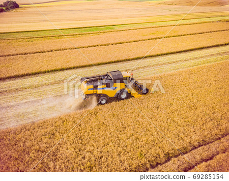 Aerial View of Combine Harvester Harvesting Wheat. Combine Harvester Working on The Large Wheat Field 69285154