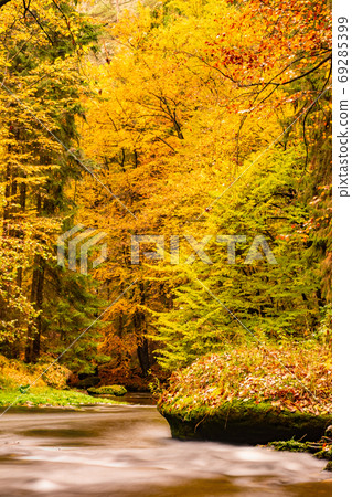 Fall river forest landscape. Autumn colorful nature. Fall river forest landscape. Autumn colorful nature. 69285399