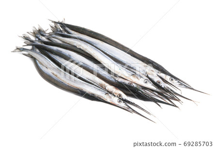 fresh fish garfish isolated 69285703