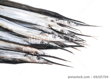 fresh fish garfish isolated 69285704