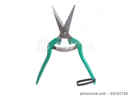 flower pruner isolated flower pruner isolated 69285788