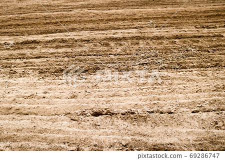Texture of brown plowed dry land with beds Texture of brown plowed dry land with beds 69286747