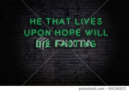 Wise quote. Neon inscription against brick wall 69286825