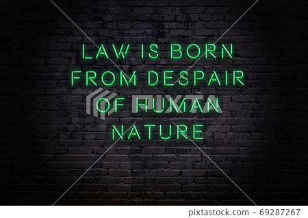 Wise quote. Neon inscription against brick wall 69287267