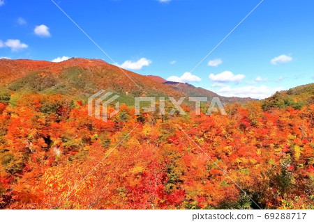 秋葉Naruko鄉 秋葉Naruko鄉 69288717