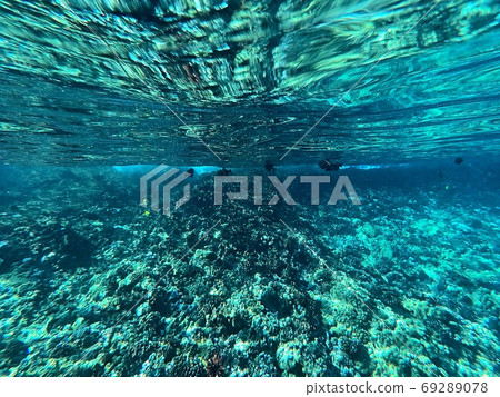 Molokini snorkeling 69289078