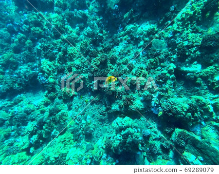 Molokini snorkeling Molokini snorkeling 69289079