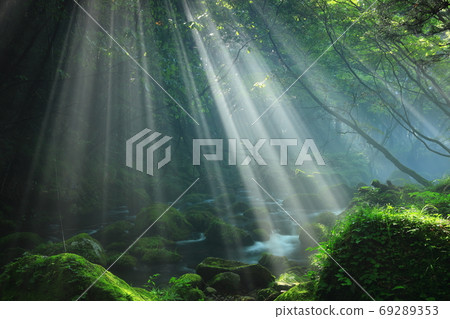Summer waterfall underwater flowing in the rays of light Summer waterfall underwater flowing in the rays of light 69289353