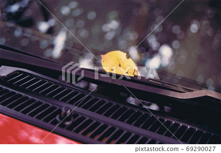 一片落葉在擋風玻璃上，秋天拍攝 69290027