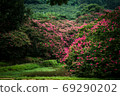 Myungokheon Lageron樹花 69290202