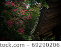 Myungokheon Lageron樹花 69290206