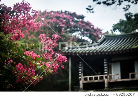 Myungokheon Lageron樹花 69290207