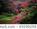 Myungokheon Lageron樹花 69290208