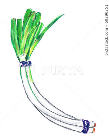Bent onion Bent onion 69290251