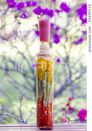 Jars with pickled Peruvian chili peppers Jars with pickled Peruvian chili peppers 69290518