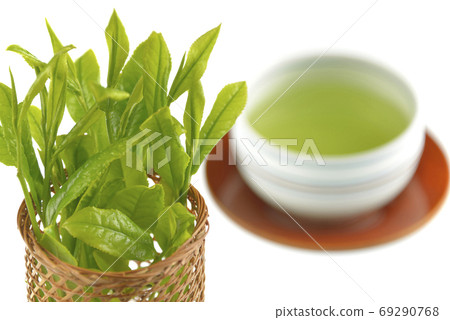 Tea bud and drinking Tea bud and drinking 69290768