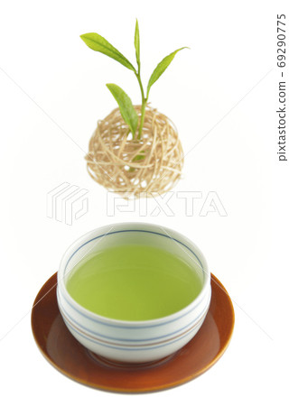 Tea bud and drinking Tea bud and drinking 69290775