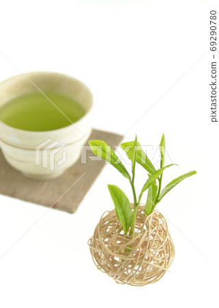 茶芽和喝酒 69290780