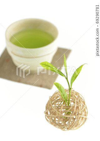 茶芽和喝酒 69290781