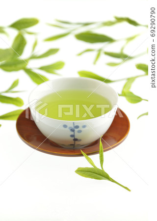 Tea bud and drinking Tea bud and drinking 69290790