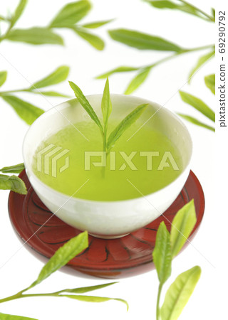 Tea bud and drinking 69290792