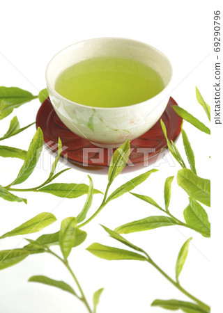 Tea bud and drinking Tea bud and drinking 69290796