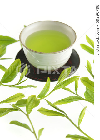 Tea bud and drinking 69290798