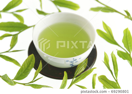 Tea bud and drinking 69290801