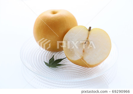 梨(圖像) 梨(圖像) 69290966