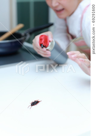 Housewives fight off cockroaches that appeared in the kitchen with insecticides Housewives fight off cockroaches that appeared in the kitchen with insecticides 69291600