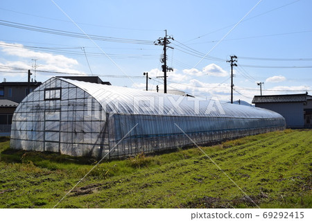 Greenhouse greenhouse cultivation 69292415
